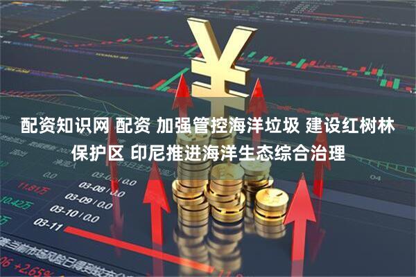 配资知识网 配资 加强管控海洋垃圾 建设红树林保护区 印尼推进海洋生态综合治理
