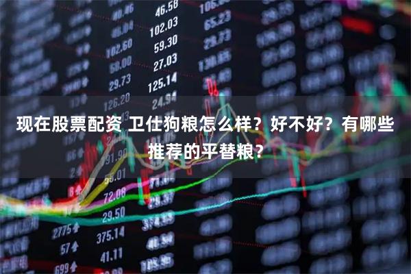 现在股票配资 卫仕狗粮怎么样？好不好？有哪些推荐的平替粮？